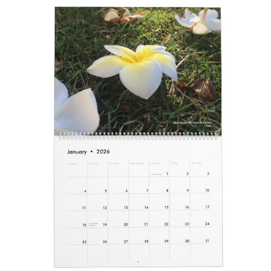 Frères d'aventure : Calendrier d'Hawaï (Jan 2026)