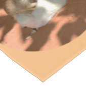 Frères Meerkat, Nappe (Angle)
