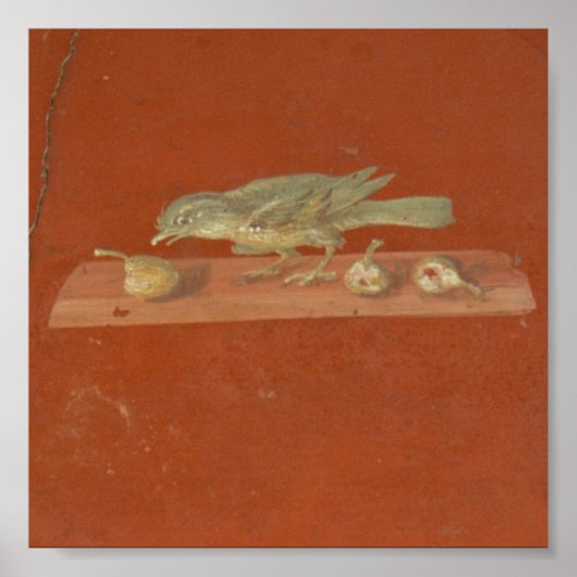 Fresco, Villa Oplontis Poster (Voorkant)