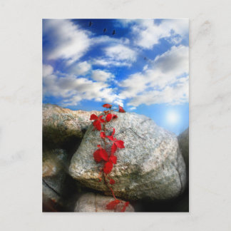 Fresh Air, briefkaart