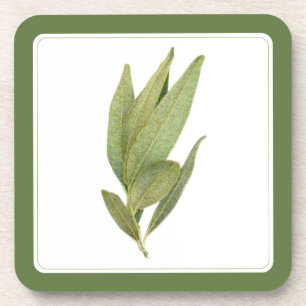 FRESH BAY LEAVES Hard Plastic Onderzetters - tekst