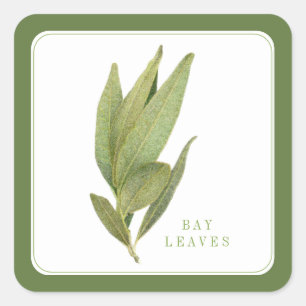 FRESH BAY LEAVES Kleine Vierkante Stickers - Groen