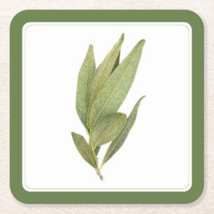 FRESH BAY LEAVES Vierkante Papieren Onderzetters -