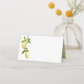 Fresh Citrus Painted Lemons Modern Mediterranean (Voorkant)