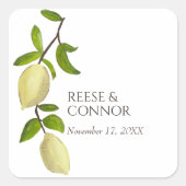 Fresh Citrus Painted Lemons Modern Mediterranean Vierkante Sticker (Voorkant)