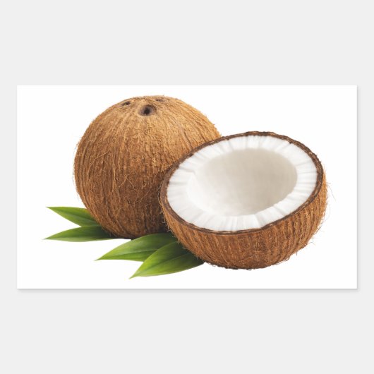 Fresh Coconut With Half Cut Slice Sticker (Voorkant)