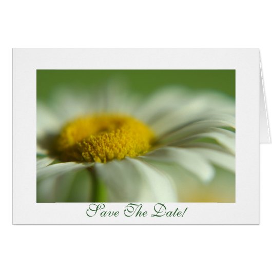 Fresh Daisy (Voorkant Horizontaal)