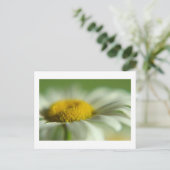Fresh Daisy Briefkaart (Staand voorkant)