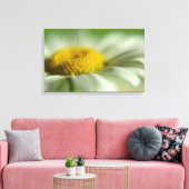 Fresh Daisy Canvas Afdruk (Insitu (Woonkamer))