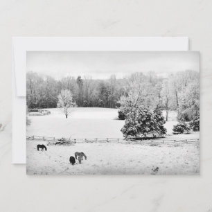 Fresh Fallen Snow at the Horse Ranch Feestdagenkaart