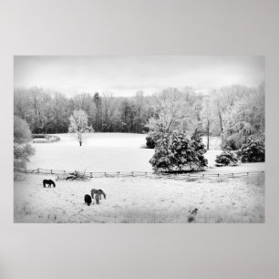 Fresh Fallen Snow at the Horse Ranch Poster