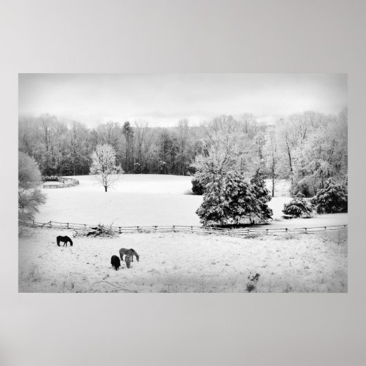 Fresh Fallen Snow at the Horse Ranch Poster (Voorkant)