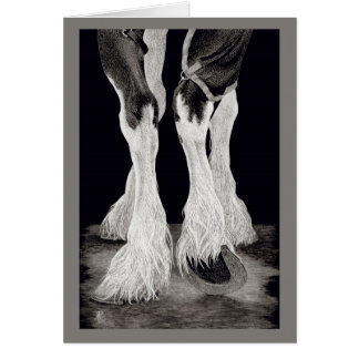 "Fresh Feathers" — Shire Draft Horse
