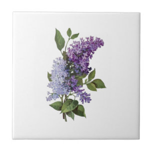 Fresh Lilacs - French Country Home Decor Tegeltje
