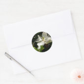 Fresh Magnolia Bloom Ronde Sticker (Envelop)