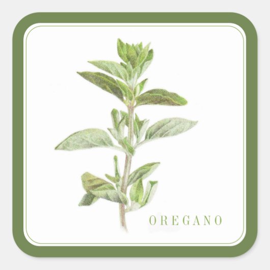FRESH OREGANO Grote Vierkante Stickers (+tekst) Gr (Voorkant)