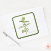 FRESH OREGANO Grote Vierkante Stickers (+tekst) Gr (Envelop)