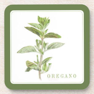 FRESH OREGANO Hard Plastic Onderzetters (+tekst) G