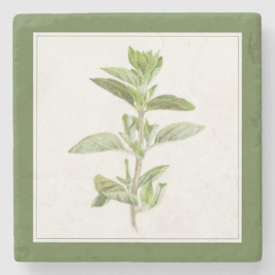 FRESH OREGANO Marmeren Steen Onderzetter (-tekst)