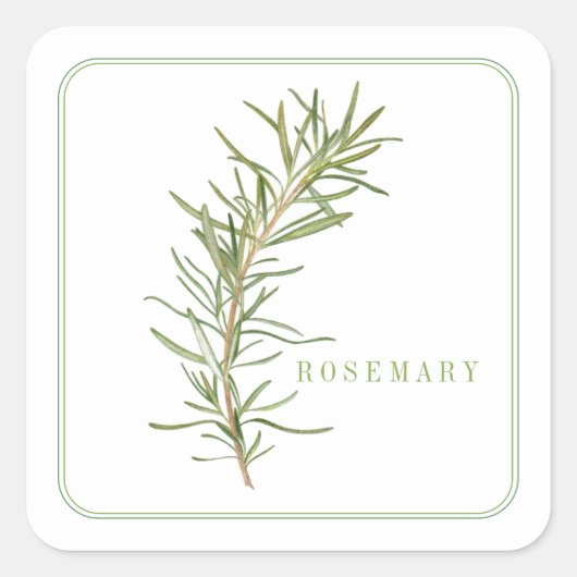 FRESH ROSEMARY Kleine Vierkante Stickers (Voorkant)
