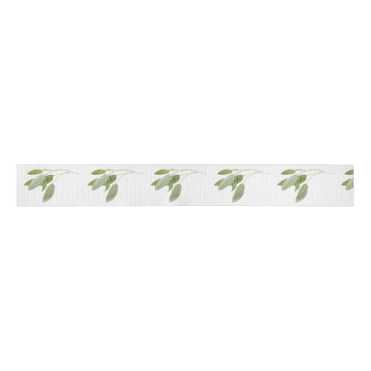 FRESH SAGE 3-inch breedkorrelig lint (Voorkant)