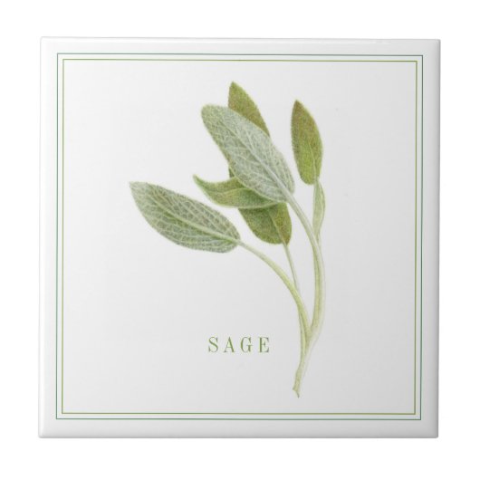 FRESH SAGE 4.25x4.25 Keramische Tegel (+tekst) Tegeltje (Voorkant)