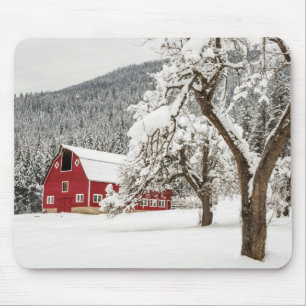 Fresh snow on red barn muismat