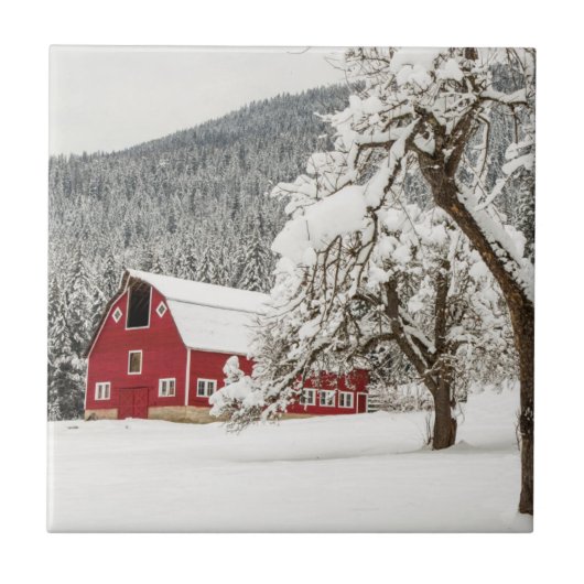 Fresh snow on red barn tegeltje (Voorkant)