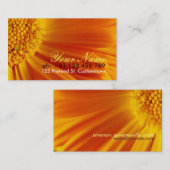 Fresh Surprise 2 Carte de visite (Devant / Derrière)