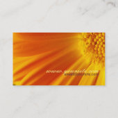 Fresh Surprise 2 Carte de visite (Dos)