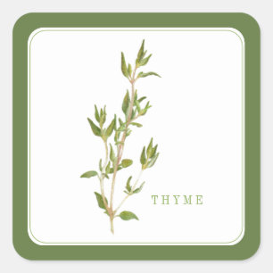 FRESH THYME Kleine vierkante Stickers - Groen