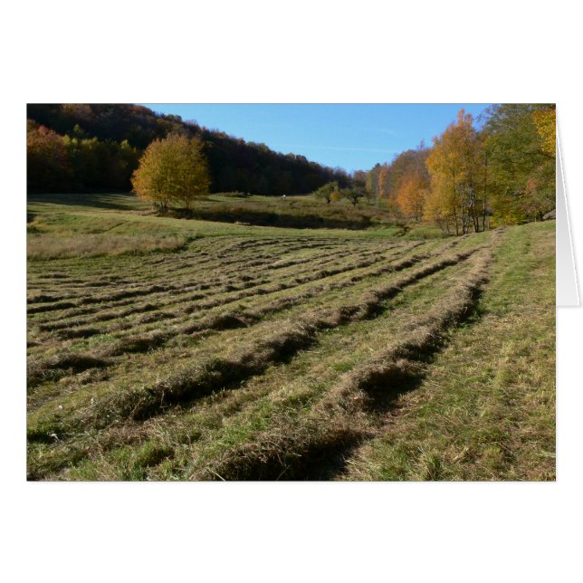 Freshly Mown Fields (Voorkant Horizontaal)