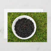 Freshly Picked Blackcurrants Briefkaart (Voorkant / Achterkant)