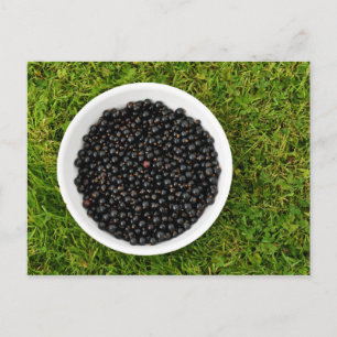 Freshly Picked Blackcurrants Briefkaart