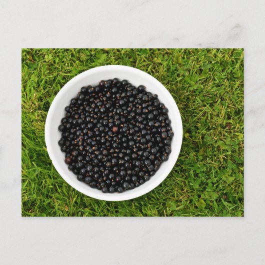 Freshly Picked Blackcurrants Briefkaart (Voorkant)