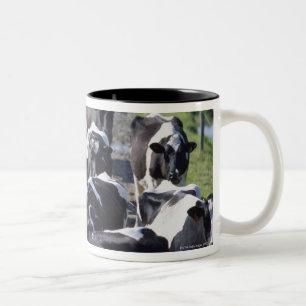 Fresian Dairy Cows, wachtend op melk, Co Laois, Tweekleurige Koffiemok