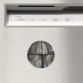 Fresnellens Magneet (Insitu (Vaatwasser))