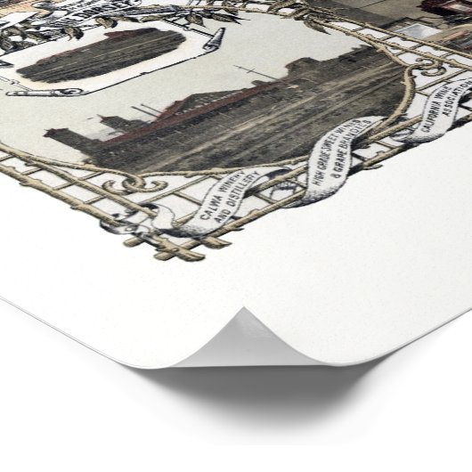 Fresno, CA Panoramic Map - 1901 Poster (Hoek)