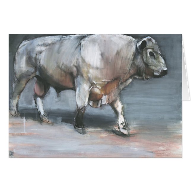 Fresno Galloway Bull (Voorkant Horizontaal)