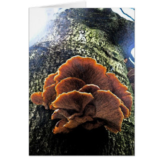 Fresque de champignon