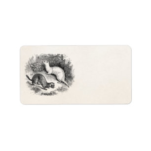 fret 1800s Fretten Weasels Minks Etiket