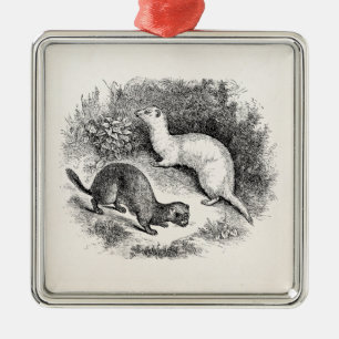 fret 1800s Fretten Weasels Minks Metalen Ornament