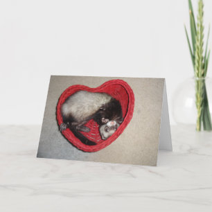 Fret in de Kaart van de Valentijnsdag van het Hart