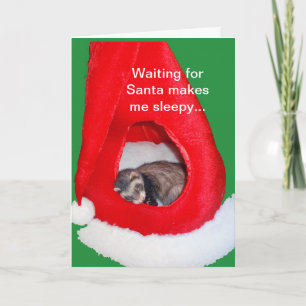 Fret in de Kerstkaart van het Pet van de Kerstman Feestdagen Kaart