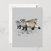 Fretten Briefkaart (Voorkant / Achterkant)