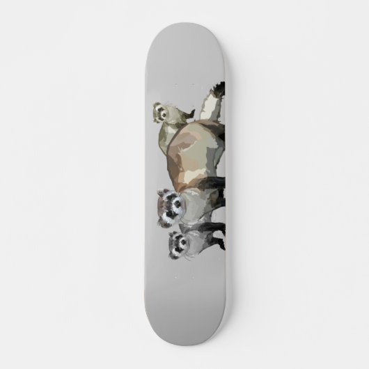 Fretten Skateboard (Voorkant)