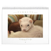 Frettenkalender - 3 - - kalender (Hoes)