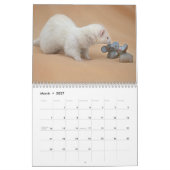 Frettenkalender - 3 - - kalender (Mar 2027)