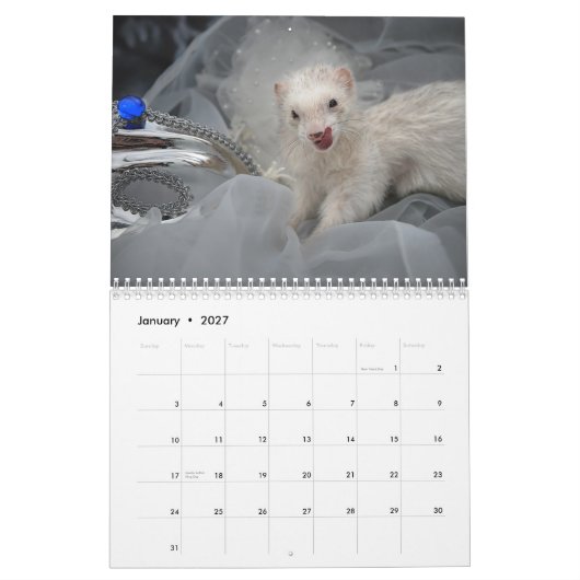 Frettenkalender - 3 - - kalender (Jan 2027)