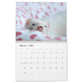Frettenkalender - 3 - - kalender (Feb 2027)